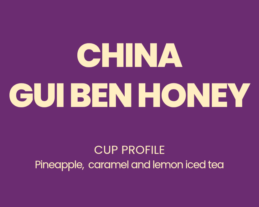 China Gui Ben Honey