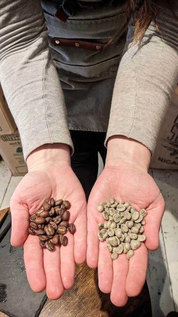 Barista - One To One - Tailored Course