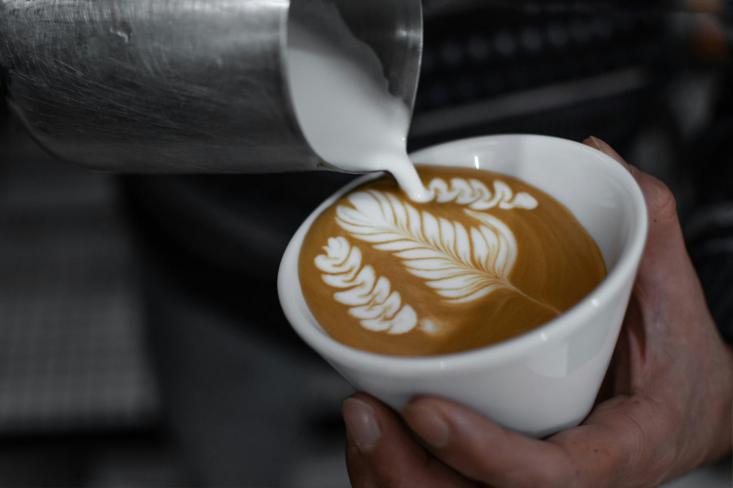 Latte Art Training