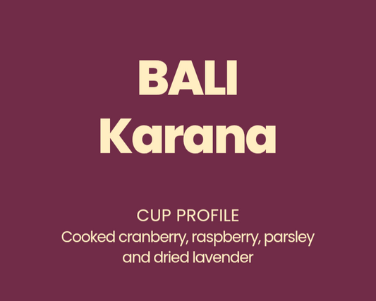 Bali Karana