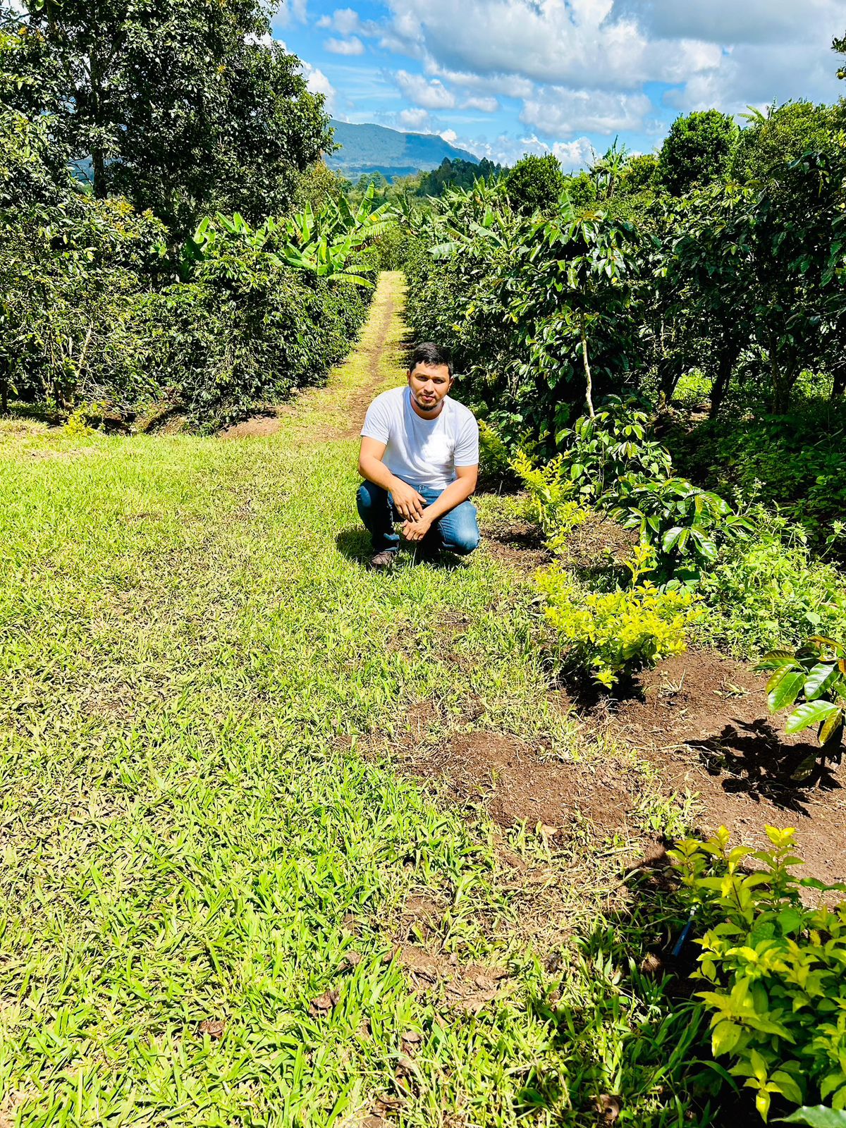 Honduras El Matazano