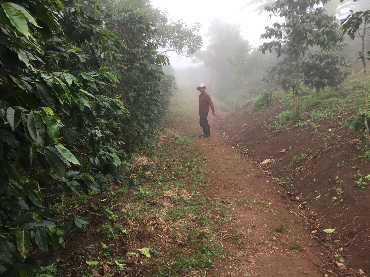 Honduras El Matazano
