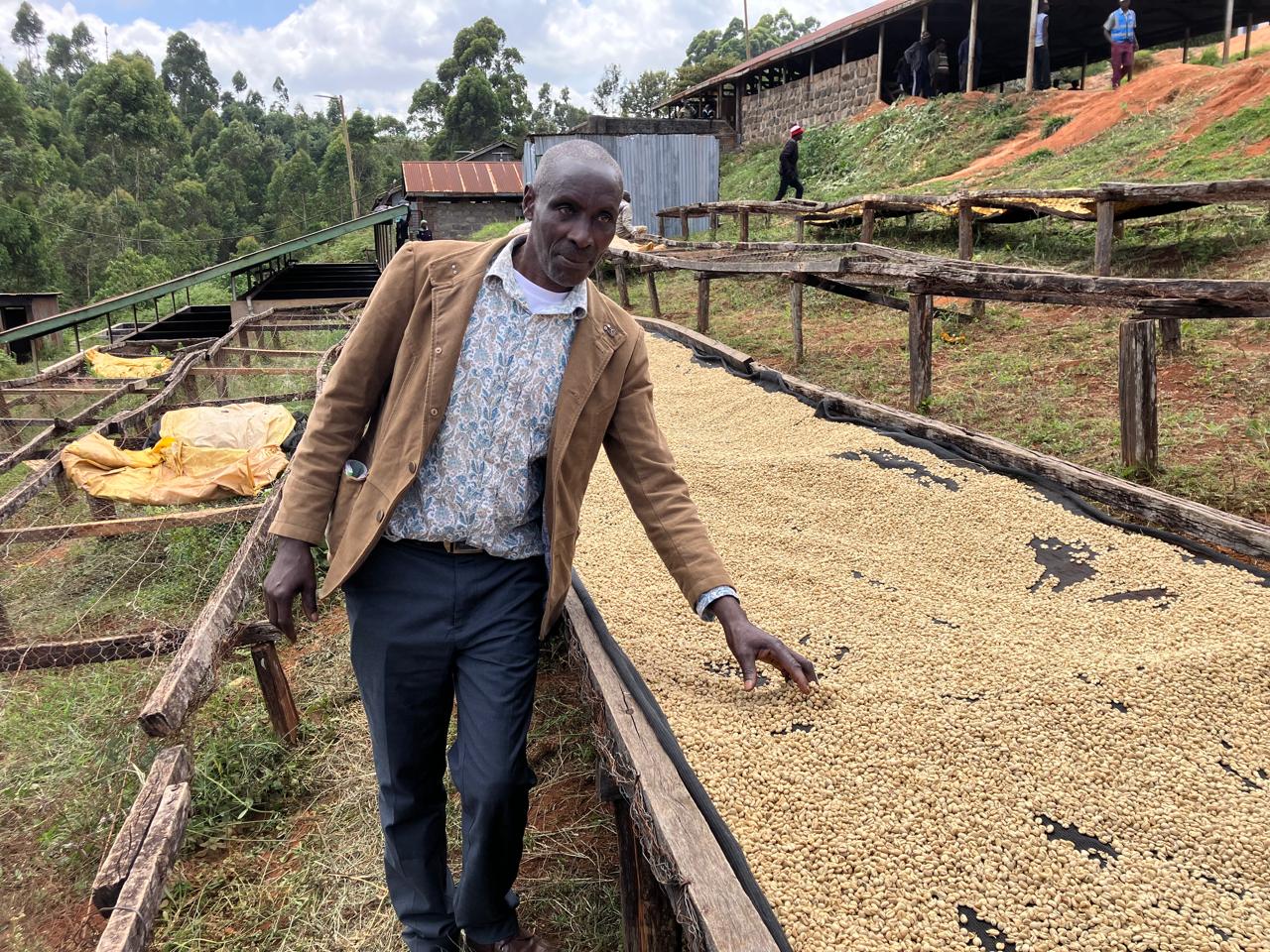 Kenya Komothai Kanake AA