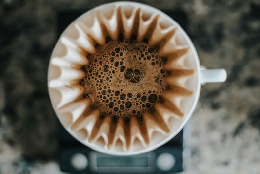 Coffee Brewing Foundation