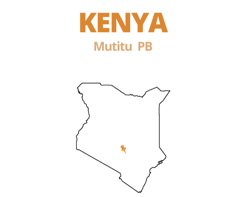 Kenya Mutitu PB